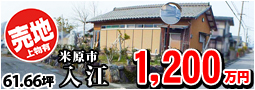 入江1200万円